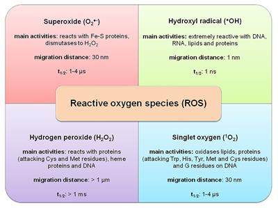 Frontiers | The Significance Of Reactive Oxygen Species And Antioxidant ...